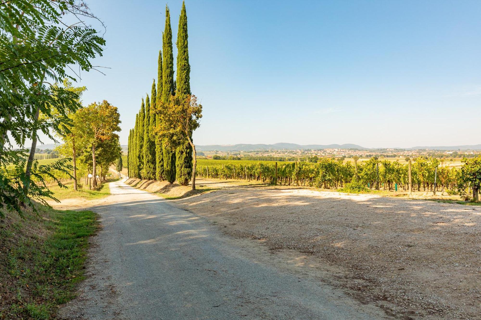 Vermentino Villa Montepulciano Stazione Exteriör bild