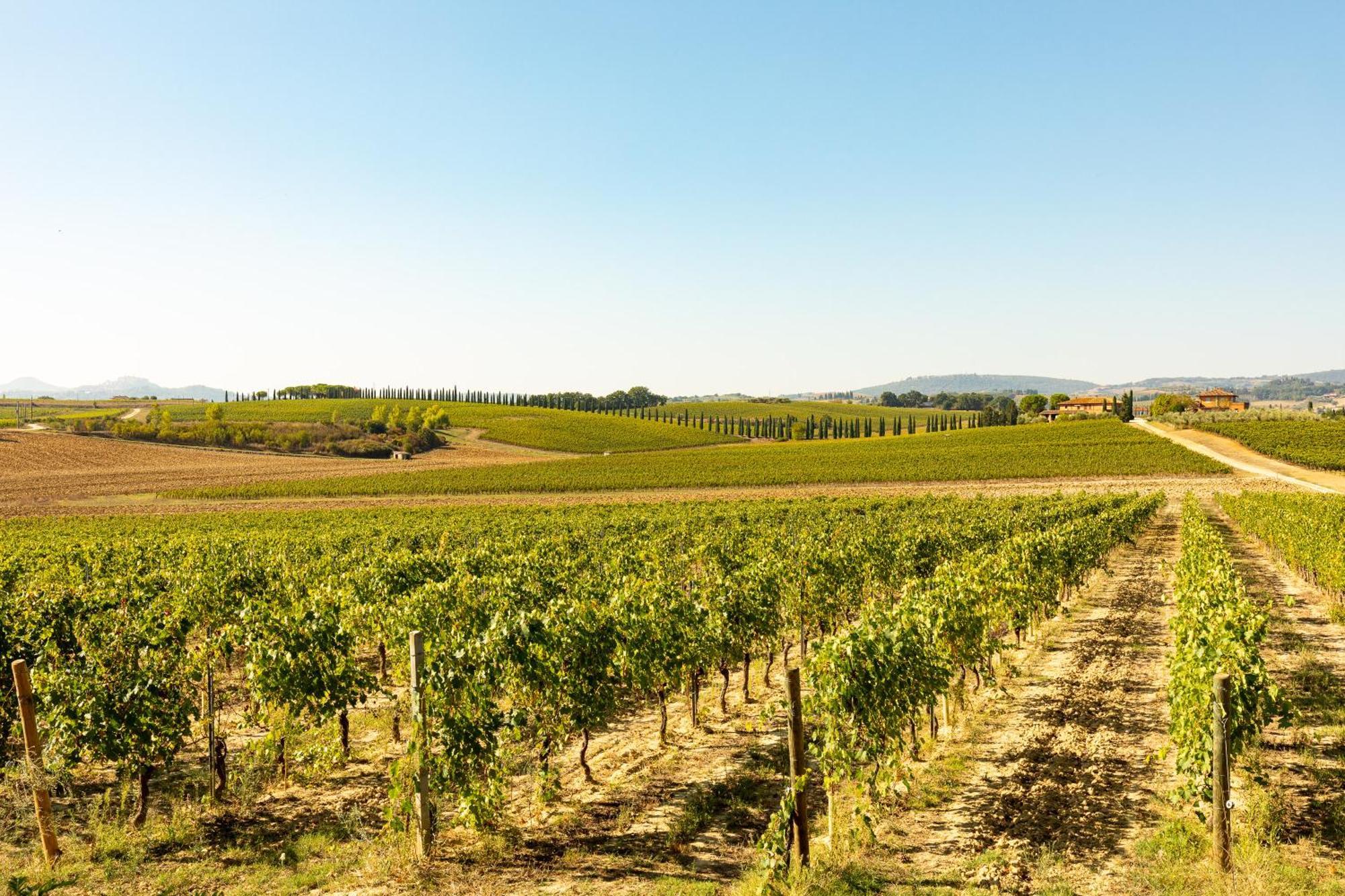 Vermentino Villa Montepulciano Stazione Exteriör bild