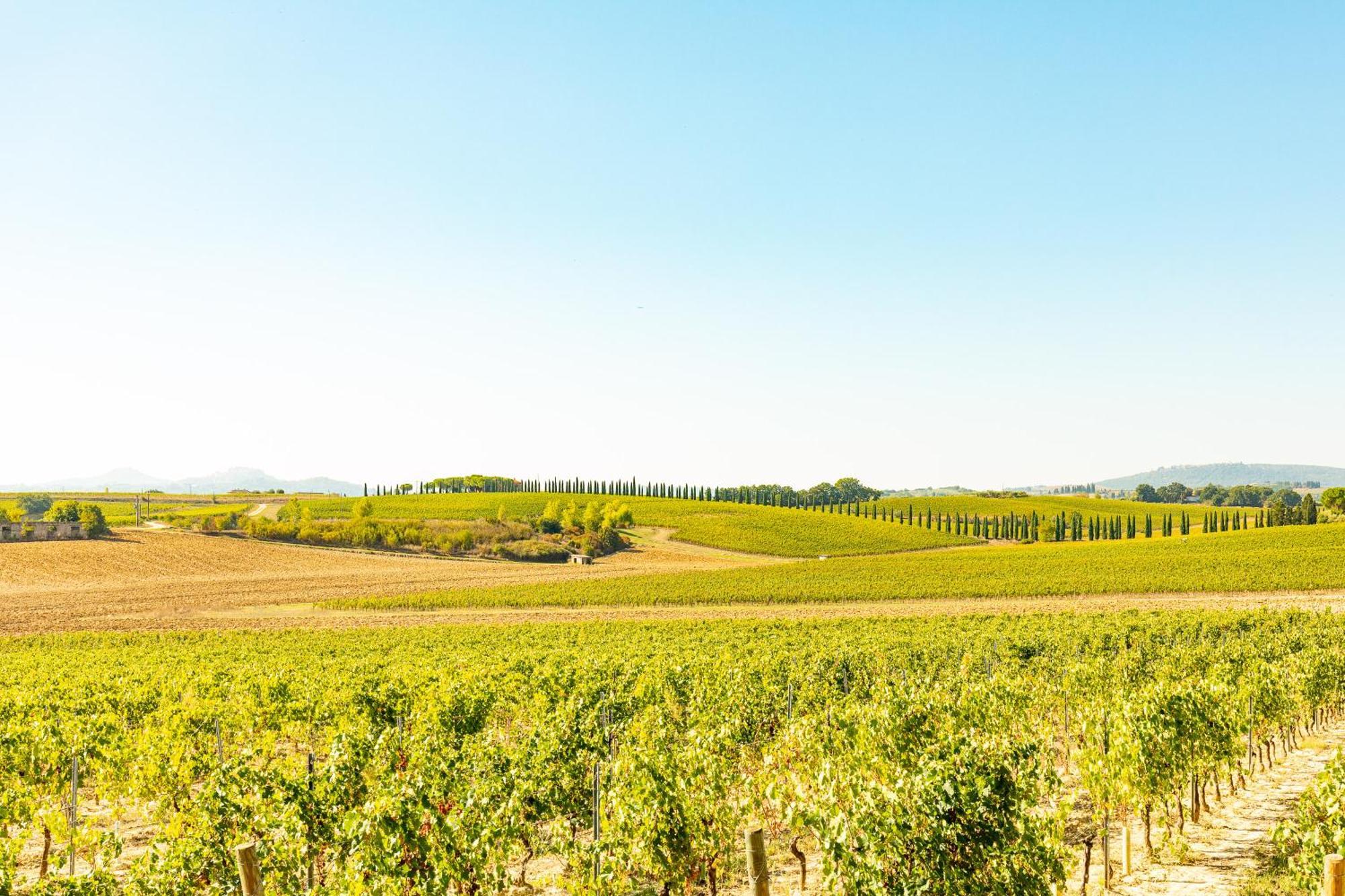 Vermentino Villa Montepulciano Stazione Exteriör bild