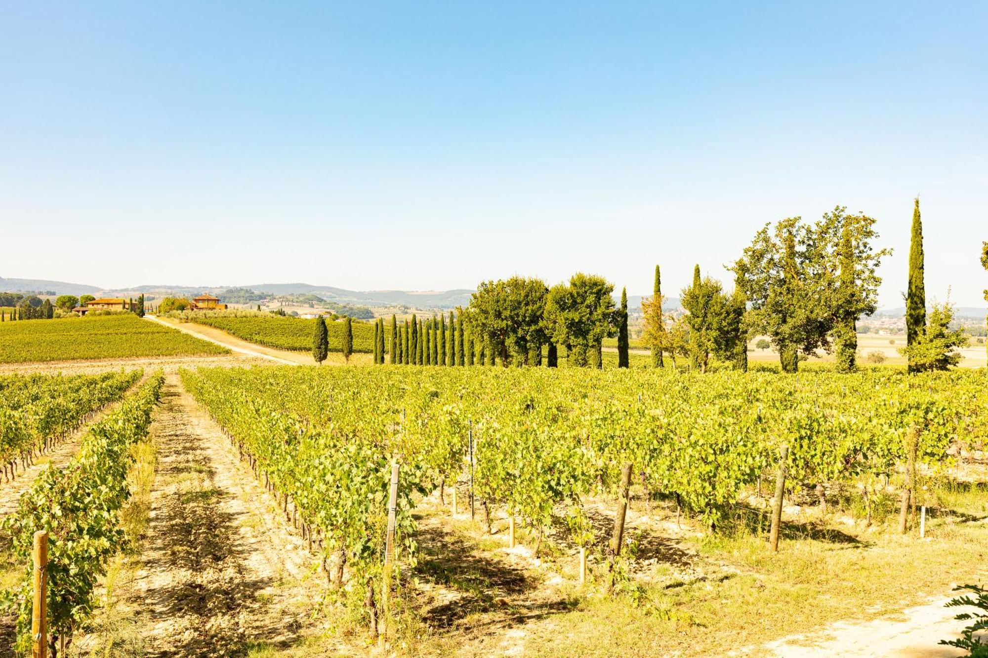 Vermentino Villa Montepulciano Stazione Exteriör bild